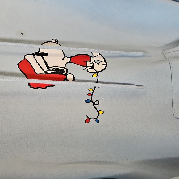 Peanuts Snoopy Light Blue Hoodie, Size S - Picture 6 of 13